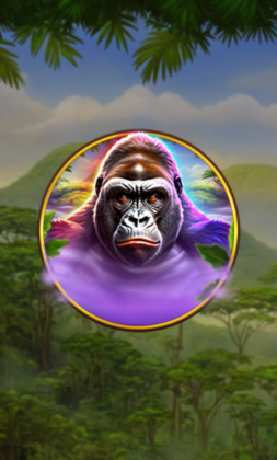Gorilla Fury Hold & Hit